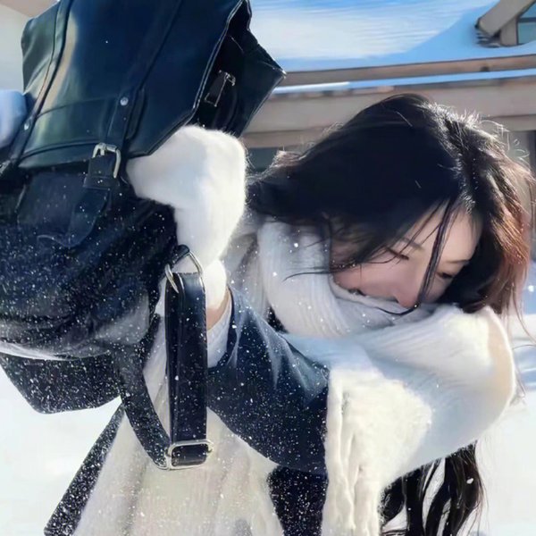 古德里奇